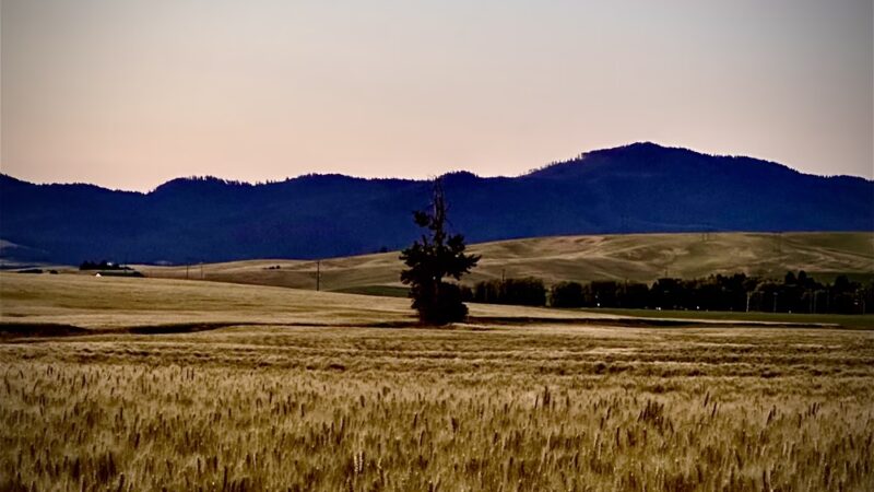 Colfax, WA. - Colfax, WA