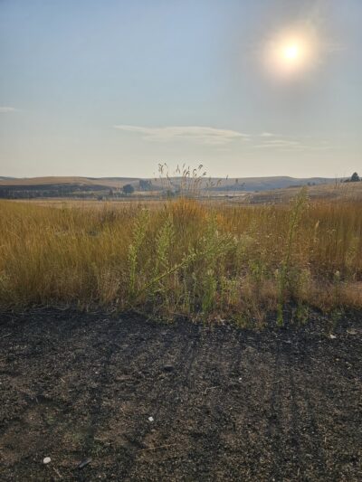 Colfax, WA. - Colfax, WA