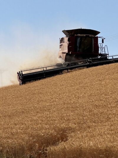 Colfax, WA. - Colfax, WA