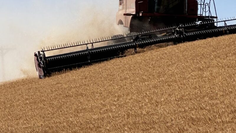 Colfax, WA. - Colfax, WA