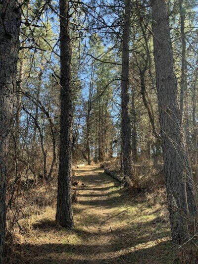 Klemgard County Park - Colfax, WA