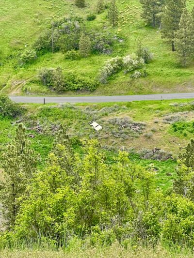 Lookout Park - Colfax, WA