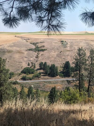 Lookout Park - Colfax, WA