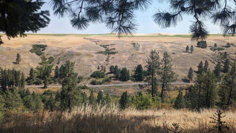 Lookout Park - Colfax, WA