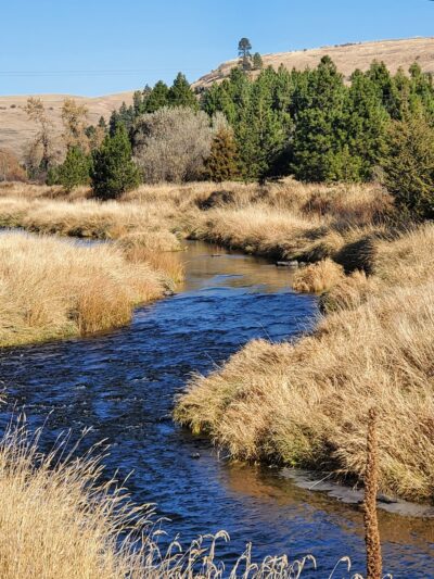 Mc Donald Park - Colfax, WA