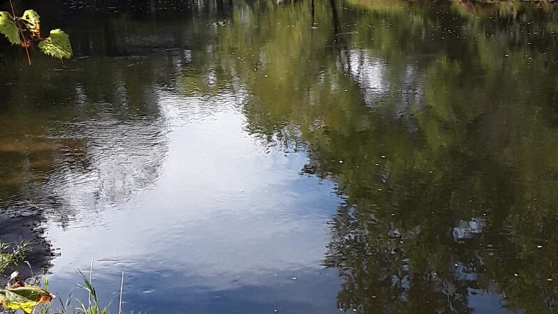 Colfax Park - Colfax, WI