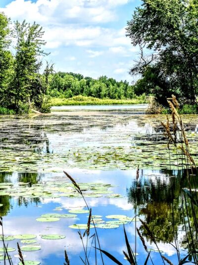 Colfax Red Cedar Preserve & Rec Area - Colfax, WI