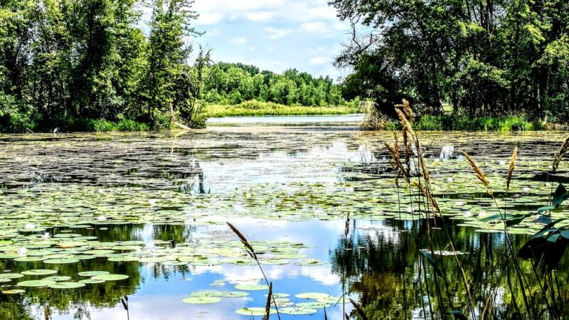 Colfax Red Cedar Preserve & Rec Area - Colfax, WI