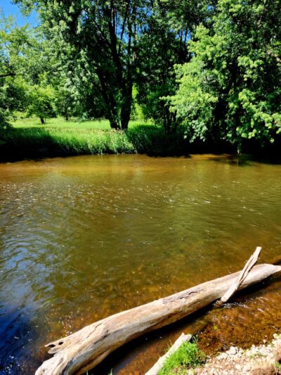 Colfax Red Cedar Preserve & Rec Area - Colfax, WI