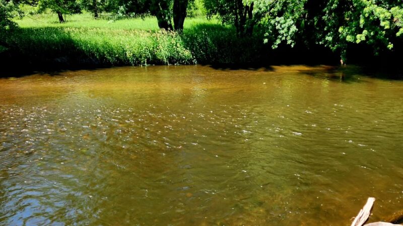 Colfax Red Cedar Preserve & Rec Area - Colfax, WI