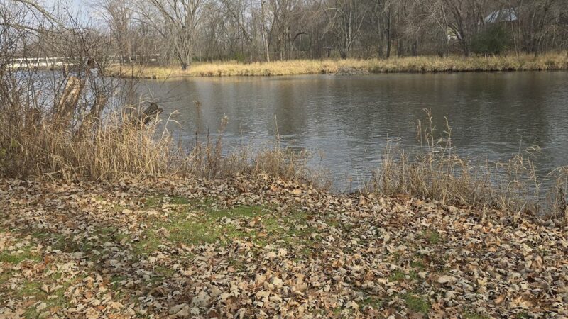 Twentytwo Mile Ford Park - Colfax, WI