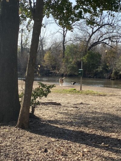 University Park - College Station, TX