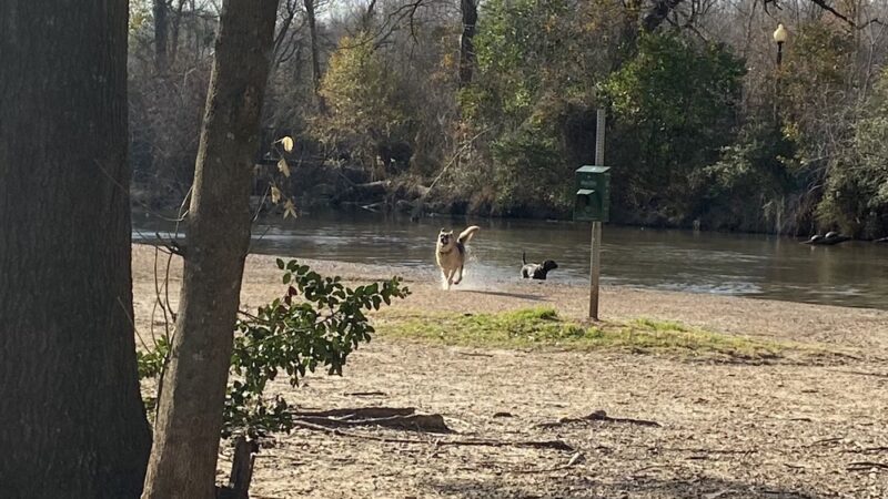 University Park - College Station, TX