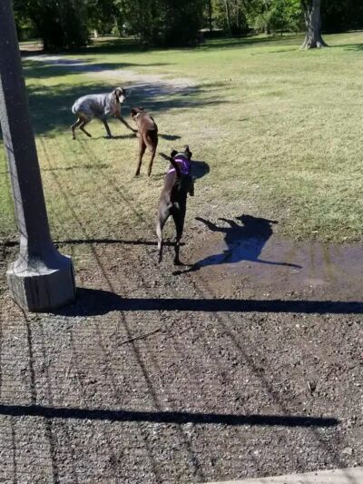 University Park - College Station, TX
