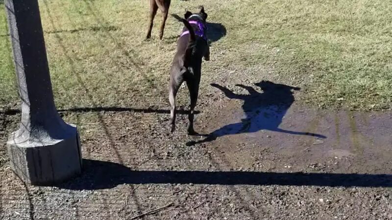 University Park - College Station, TX