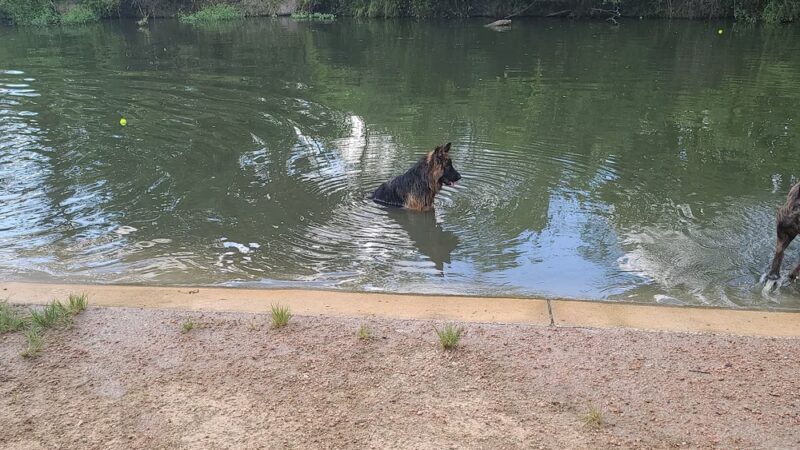 University Park Dog Park - College Station, TX