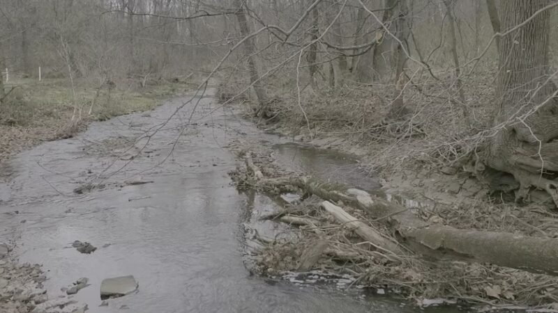Lodal Creek Park - Collegeville, PA