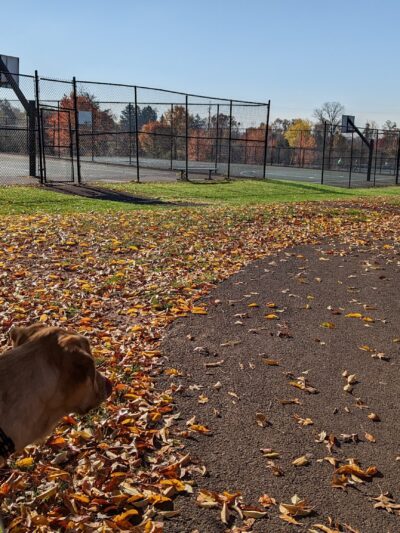 Palmer Park Pavilion - Collegeville, PA