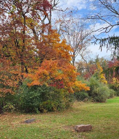 Pavilion B - Collegeville, PA