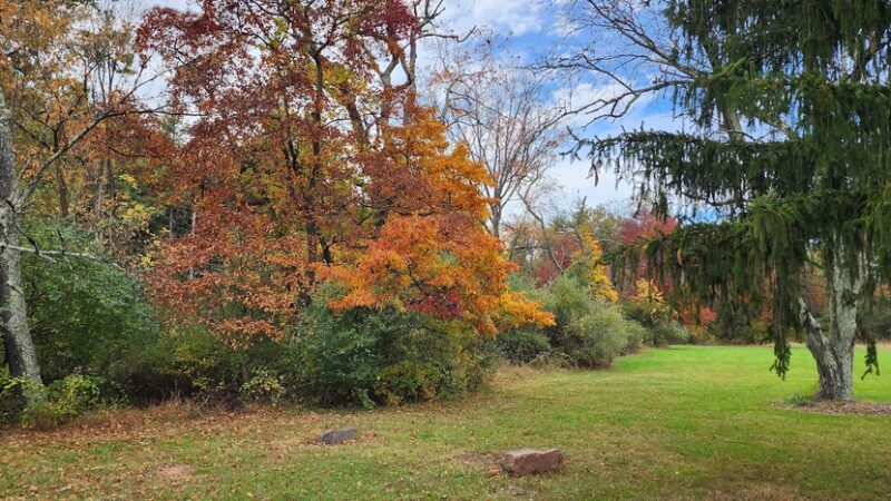 Pavilion B - Collegeville, PA