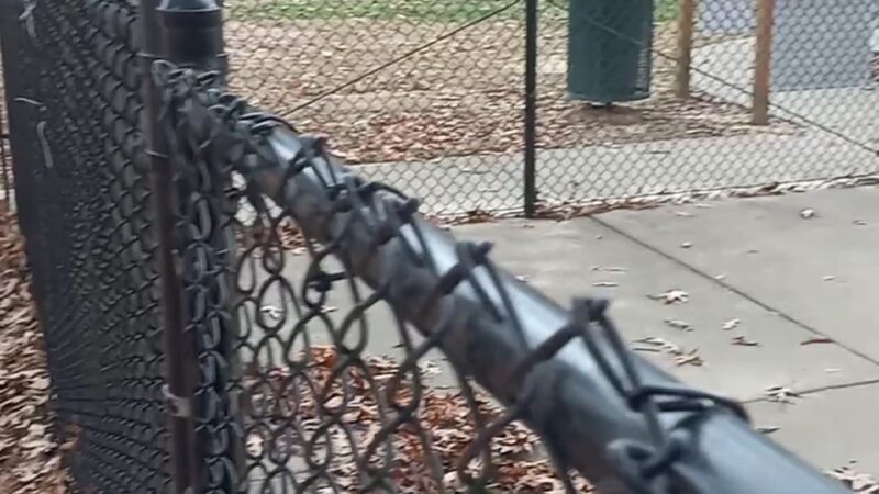 Suggs Dog Park - Collierville, TN