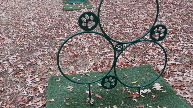 Suggs Dog Park - Collierville, TN