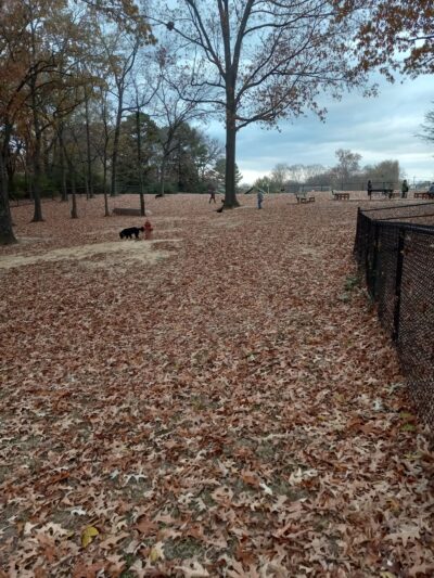 Suggs Dog Park - Collierville, TN