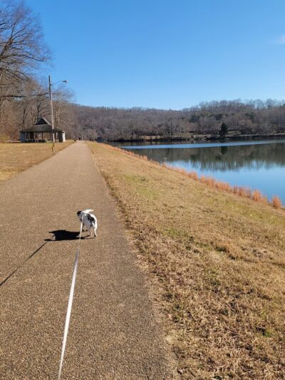 Duck Island Warriors' Path - Colonial Heights, TN