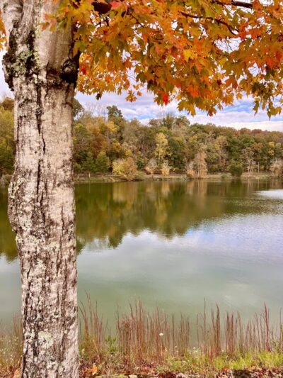 Duck Island Warriors' Path - Colonial Heights, TN