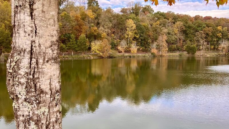 Duck Island Warriors' Path - Colonial Heights, TN