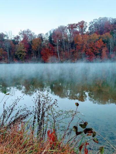 Duck Island Warriors' Path - Colonial Heights, TN