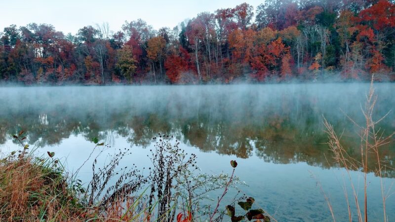 Duck Island Warriors' Path - Colonial Heights, TN