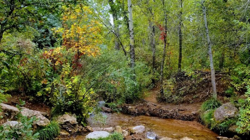 Bear Creek Regional Park East - Colorado Springs, CO