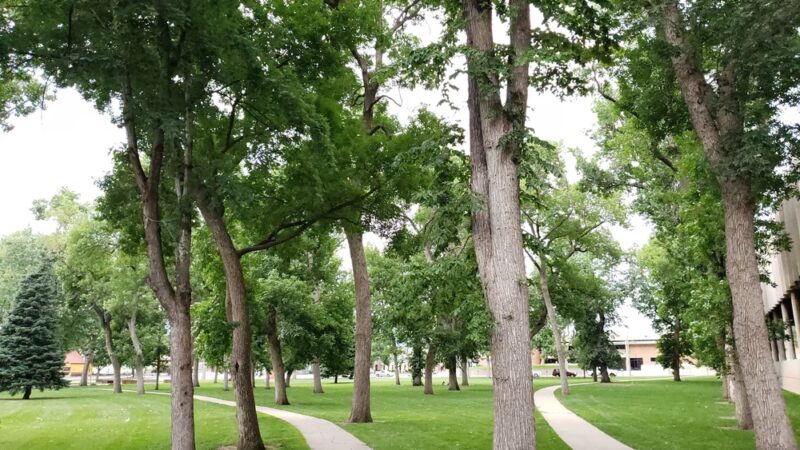 Antlers Park - Colorado Springs, CO