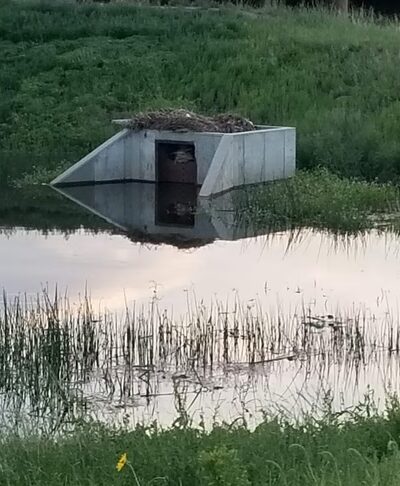 Bells Park - Colorado Springs, CO