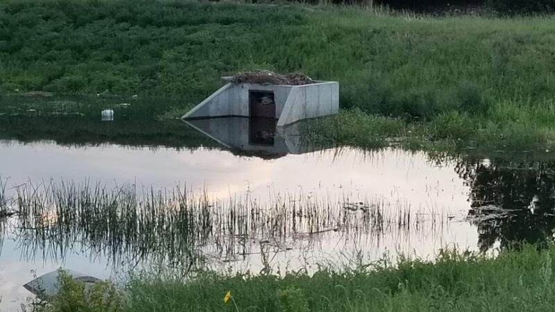 Bells Park - Colorado Springs, CO
