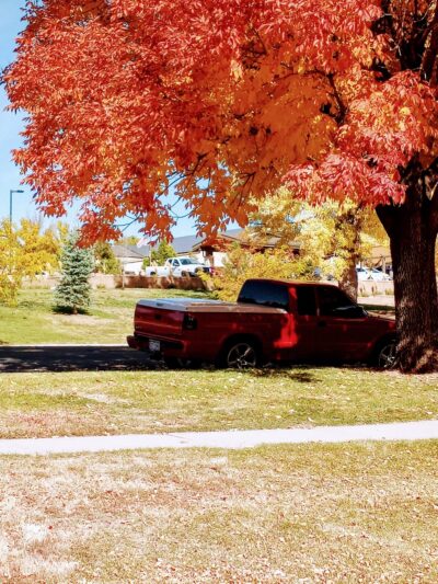 Betty Krouse Park - Colorado Springs, CO