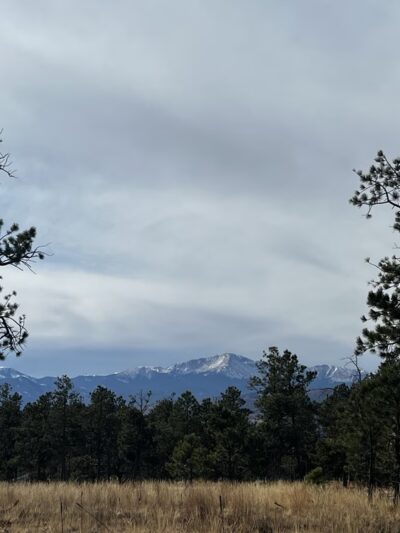 Black Forest Regional Park - Colorado Springs, CO
