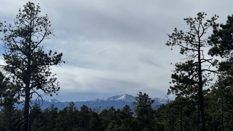 Black Forest Regional Park - Colorado Springs, CO