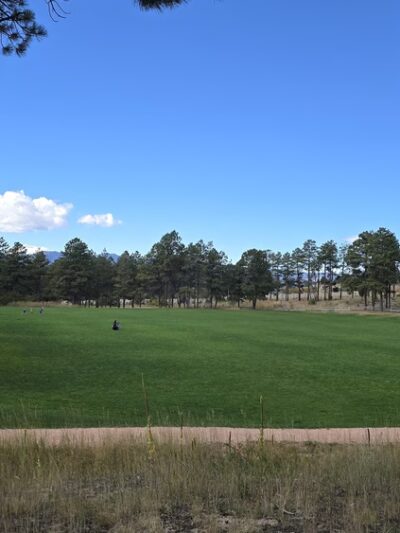 Black Forest Regional Park - Colorado Springs, CO