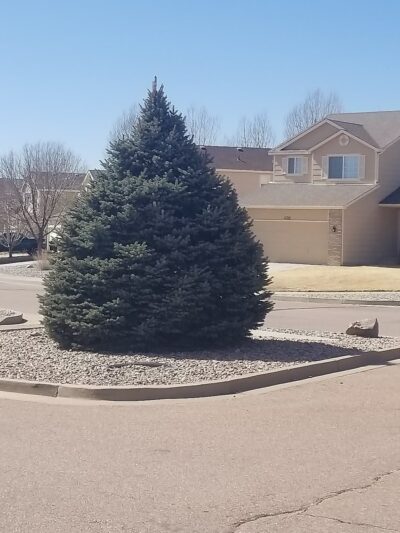 Centre Court Park - Colorado Springs, CO