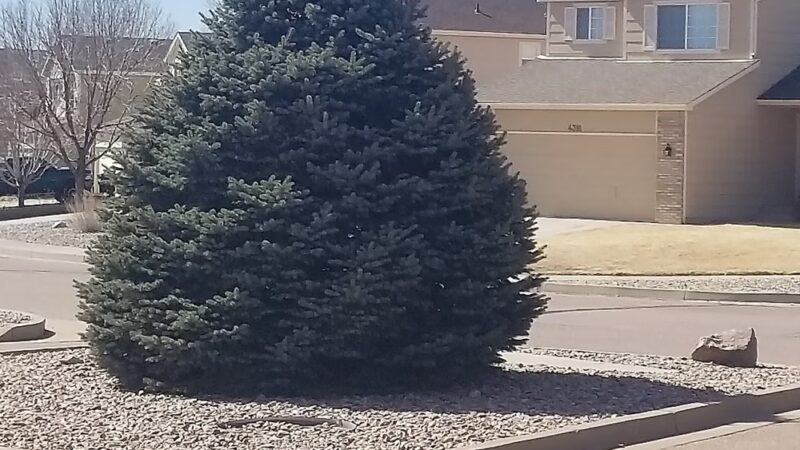 Centre Court Park - Colorado Springs, CO