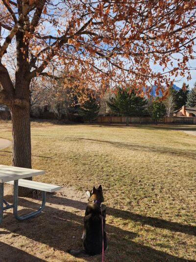 Erindale Park - Colorado Springs, CO