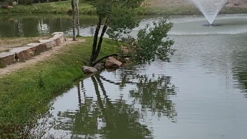 Fox Run Regional Park - Colorado Springs, CO