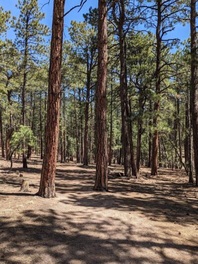 Fox Run Regional Park - Colorado Springs, CO