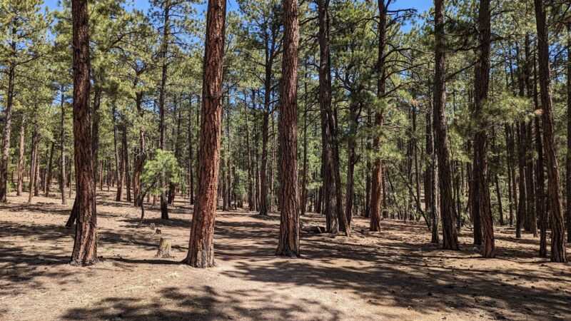 Fox Run Regional Park - Colorado Springs, CO