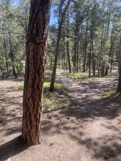 Fox Run Regional Park - Colorado Springs, CO