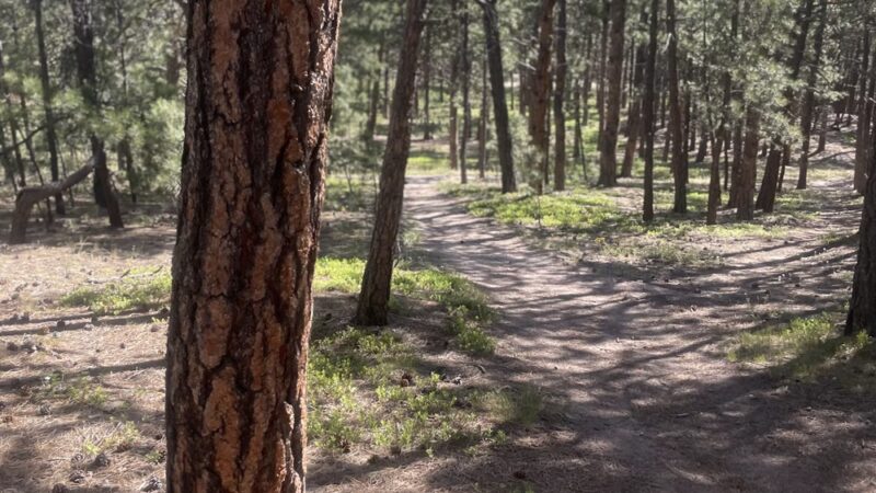 Fox Run Regional Park - Colorado Springs, CO