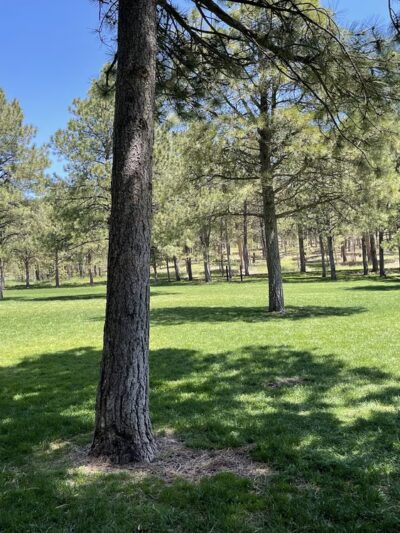 Fox Run Regional Park - Colorado Springs, CO