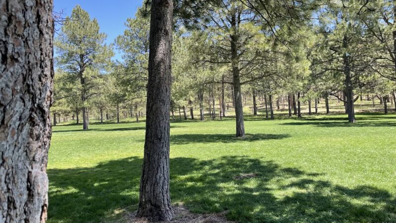 Fox Run Regional Park - Colorado Springs, CO